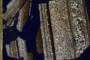 Cross Polarized, S49691