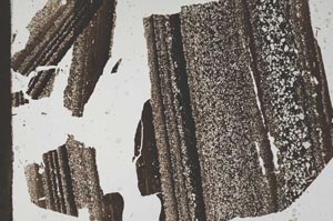 Plane Polarized, S49691