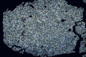 Cross Polarized, S49704