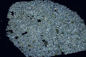 Cross Polarized, S49705