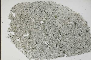 Plane Polarized, S49705