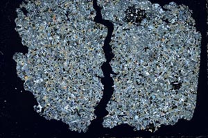 Cross Polarized, S49706