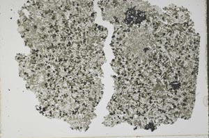 Plane Polarized, S49706