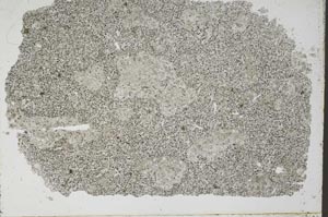 Plane Polarized, S49707