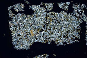 Cross Polarized, S49708