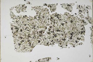 Plane Polarized, S49708