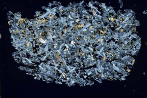 Cross Polarized, S49710