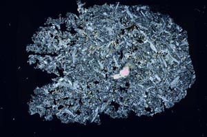 Cross Polarized, S49711