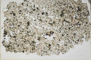 Plane Polarized, S49712