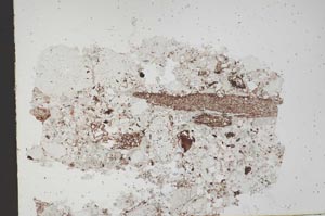 Plane Polarized, S49716