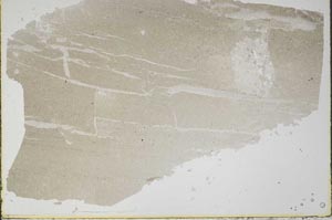 Plane Polarized, S49718