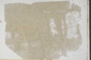 Plane Polarized, S49719