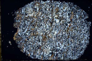 Cross Polarized, S49720