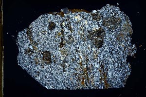 Cross Polarized, S49721