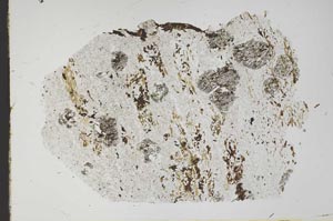 Plane Polarized, S49721