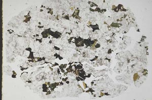 Plane Polarized, S49722