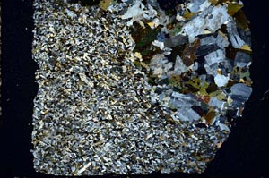 Cross Polarized, S49723