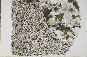 Plane Polarized, S49723