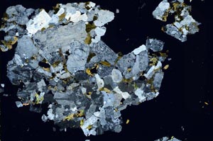 Cross Polarized, S49724