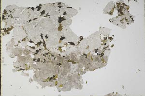 Plane Polarized, S49724