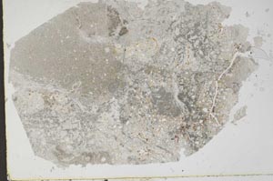 Plane Polarized, S49725