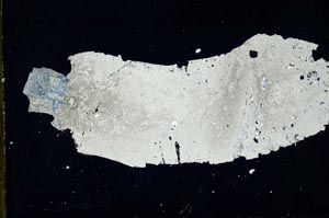 Cross Polarized, S49726