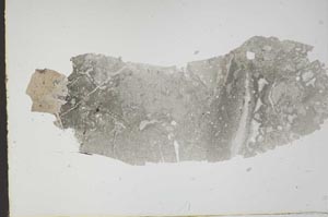 Plane Polarized, S49726