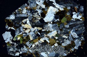 Cross Polarized, S49728