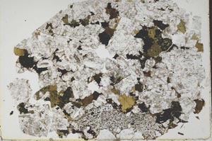 Plane Polarized, S49728