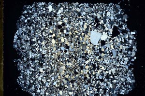 Cross Polarized, S49733