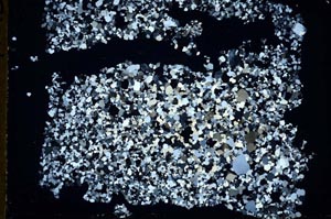 Cross Polarized, S49734