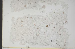 Plane Polarized, S49734