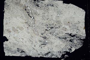 Cross Polarized, S49737