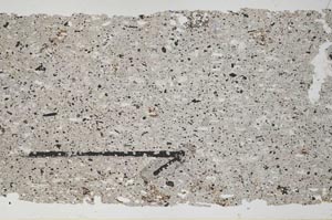 Plane Polarized, S49738