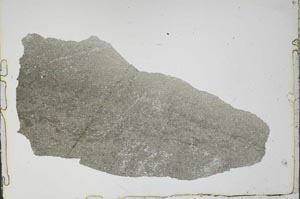 Plane Polarized, S49739