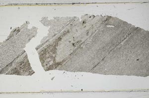 Plane Polarized, S49744