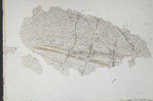 Plane Polarized, S49745