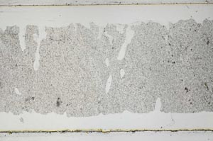 Plane Polarized, S49746