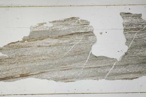 Plane Polarized, S49752