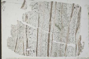 Plane Polarized, S49755