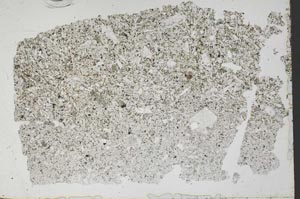 Plane Polarized, S49761
