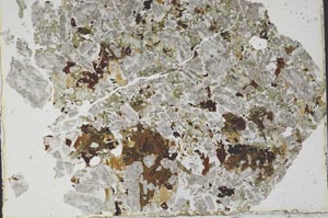 Plane Polarized, S49774