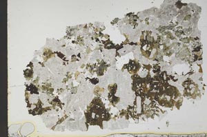 Plane Polarized, S49779