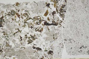 Plane Polarized, S49794
