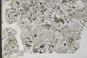 Plane Polarized, S49796