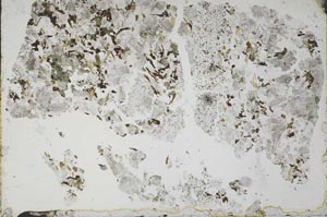 Plane Polarized, S49798