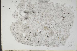 Plane Polarized, S49799