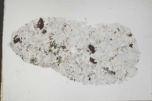 Plane Polarized, S49805