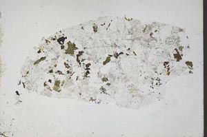 Plane Polarized, S49810