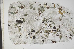 Plane Polarized, S49812